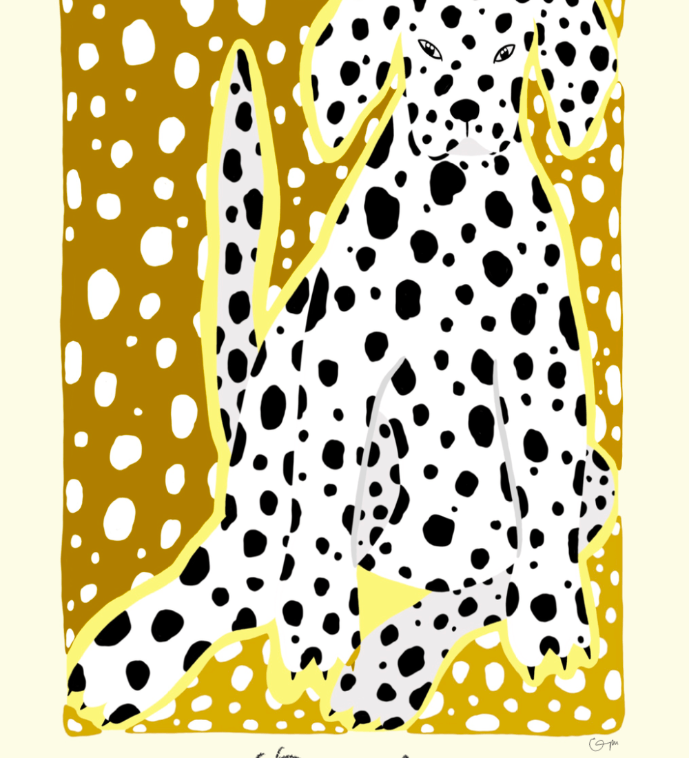 Elin PK Dalmatin Poster Elin PK