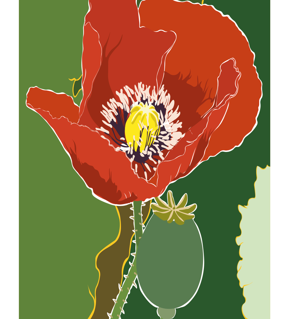 Elin PK Vallmo Poster Elin PK